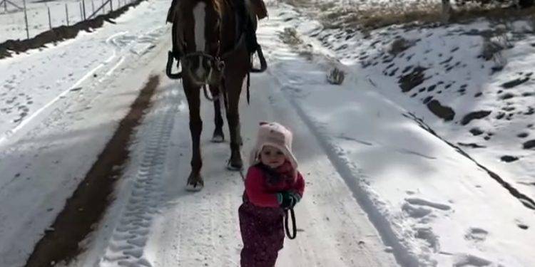 A két éves Emma és Fahéj barátsága – videó