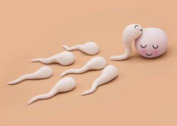 Spermaregény