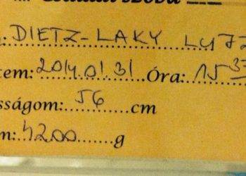 Laky Zsuzsi ismét kislánynak adott életet
