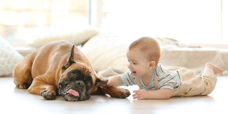 Állatartás- Segít a nevelésben