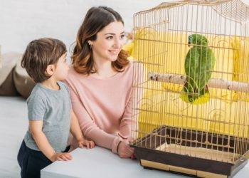 Kisgyerekek és kismadarak: mire figyeljünk?